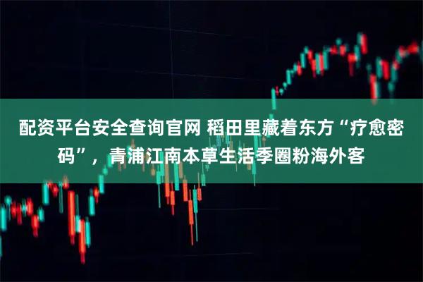 配资平台安全查询官网 稻田里藏着东方“疗愈密码”，青浦江南本草生活季圈粉海外客