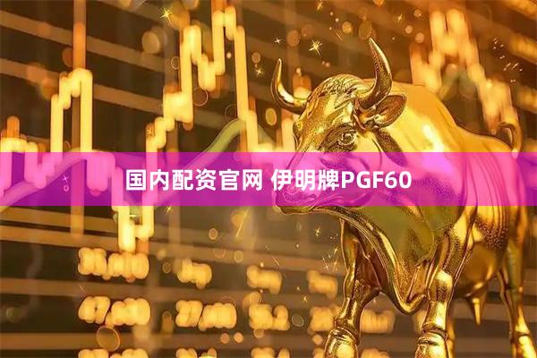 国内配资官网 伊明牌PGF60