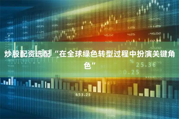 炒股配资选配 “在全球绿色转型过程中扮演关键角色”