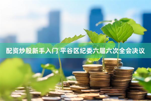 配资炒股新手入门 平谷区纪委六届六次全会决议