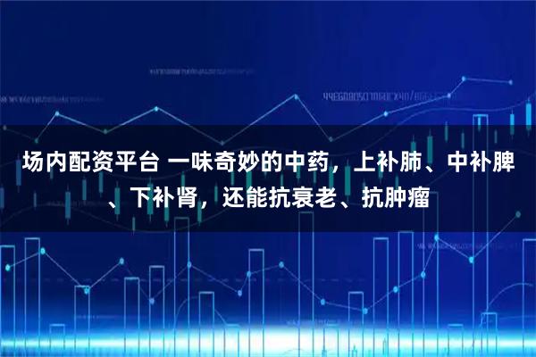 场内配资平台 一味奇妙的中药，上补肺、中补脾、下补肾，还能抗衰老、抗肿瘤